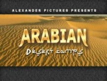 arabian