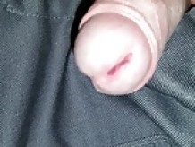 uncut cock