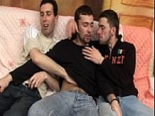 Dañado Gay - Twinky y el cerebro - escena 5