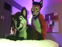 Dos gay furries follando 2