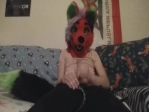 Fox Fursuit Fun