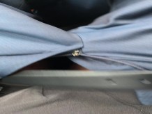 Cumming en mi coche