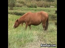 Latino bareback A la mierda