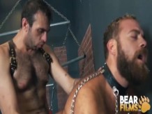 BEARFILMS Semental Topher Michaels Barebacks Peludo Sub En Dungeon