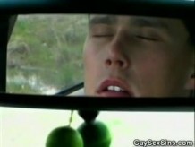 Cock Sucking In The Car