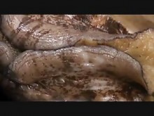 Familia pervertida japonesa