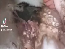 El chico de la polla cava está solo [knact]