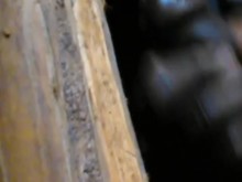 GAY LATINA HANDJOB IN PUBLIC TOILET