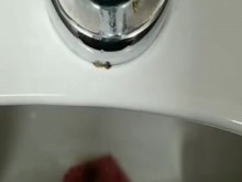 Otra meada que no querrás perderte.