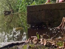 Desnudándome dentro de un bosque, acariciando mi gran polla delgada en un lago y sumergiendo mis pies en