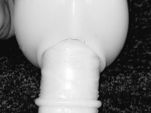 VASILE MONDIALU HTZ 2024