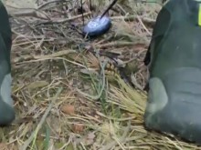 tortura jugar mi polla en el bosque