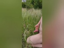 Juego al aire libre y electroestimulación de la cabeza del gallo.