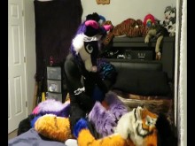 Mantenimiento del tigre, primera parte