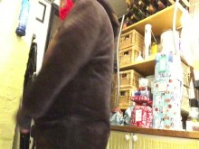 clip de oso